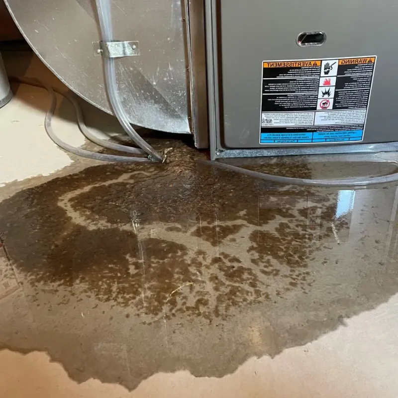 Pipe Burst and Leak Restoration in Nogales, AZ